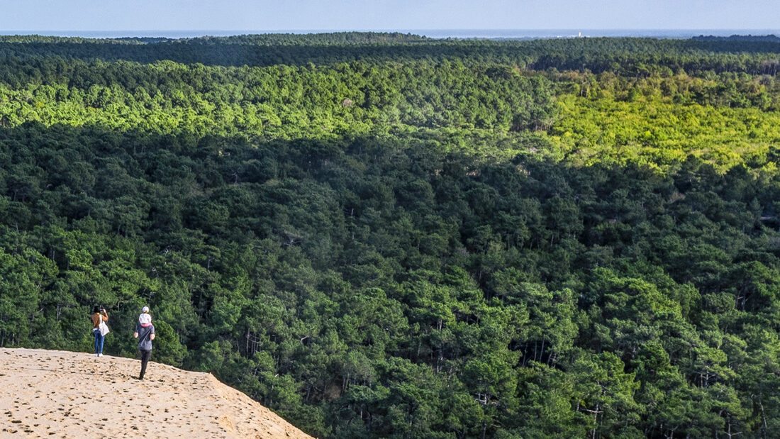 Die Forêt des Landes an der Nordspitze der Düne von Pilat. Foto: Hilke Maunder