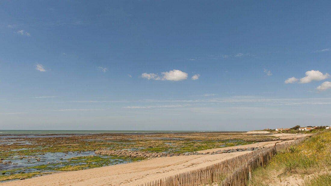 Der Strand an der Westküste von Oléron bei La Cotinière. Foto: Hilke Maunder