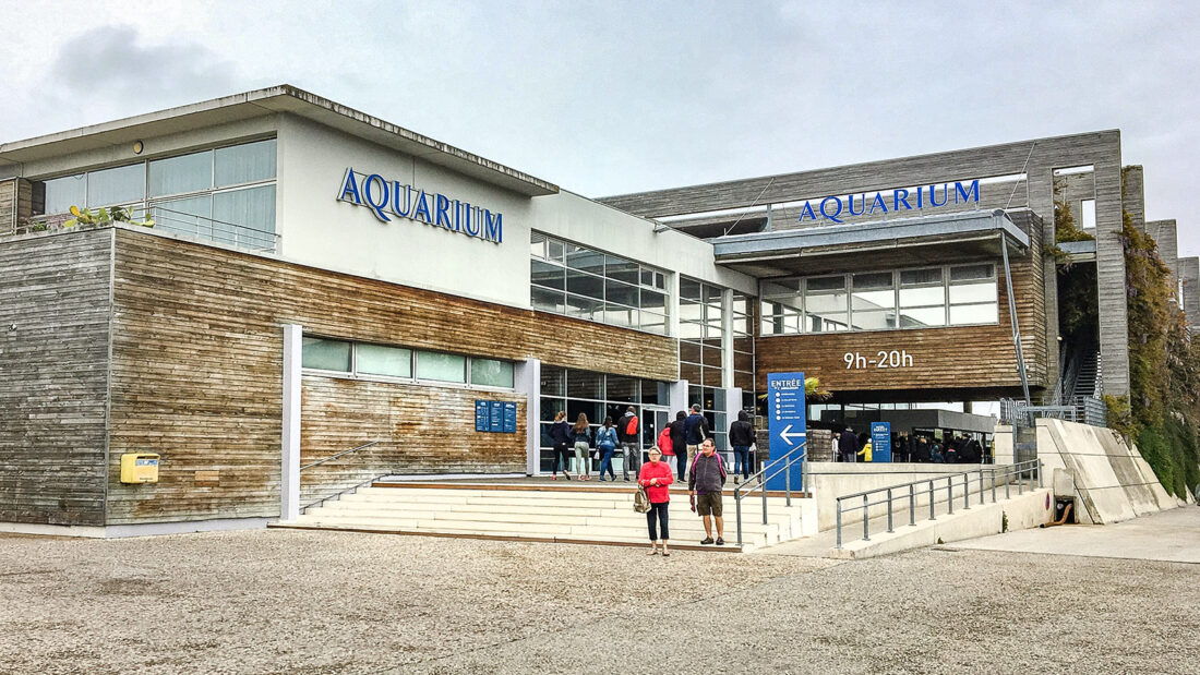 Das Aquarium von La Rochelle. Foto: Hilke Maunder