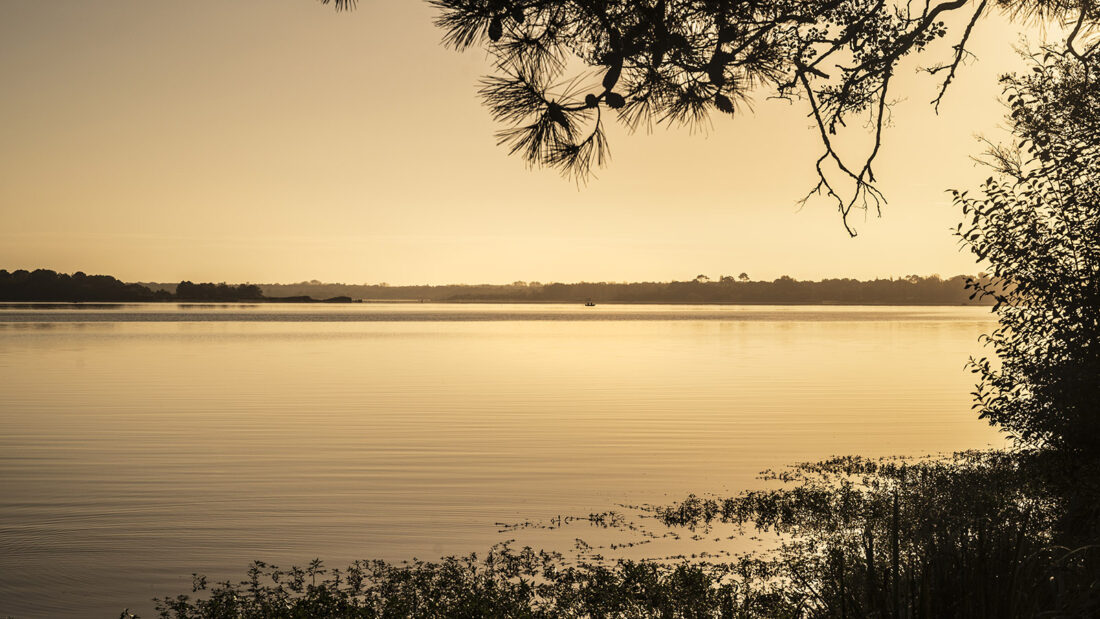 Morgenstimmung am See von Mimizan. Foto: Hilke Maunder