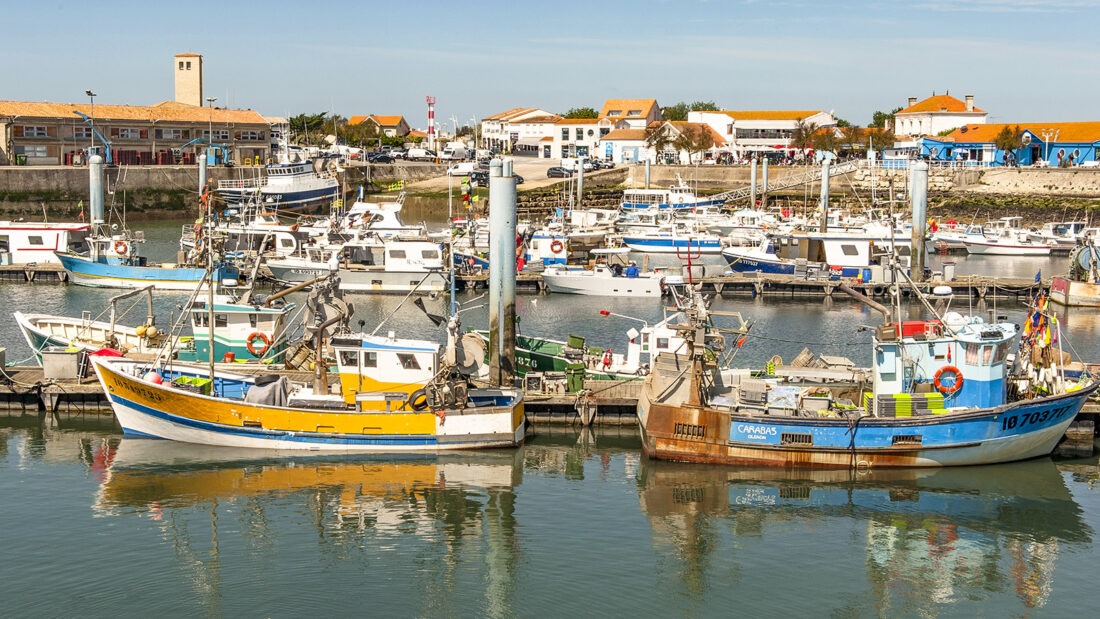 Der Fischereihafen von La Cotinière ist der größte der Region Nouvelle-Aquitaine. Foto: Hilke Maunder