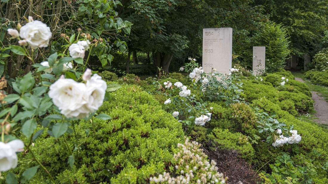 Der Weg vorbei an den Stelen des Mémorial des Reporters von Bayeux. Foto: Hilke Maunder