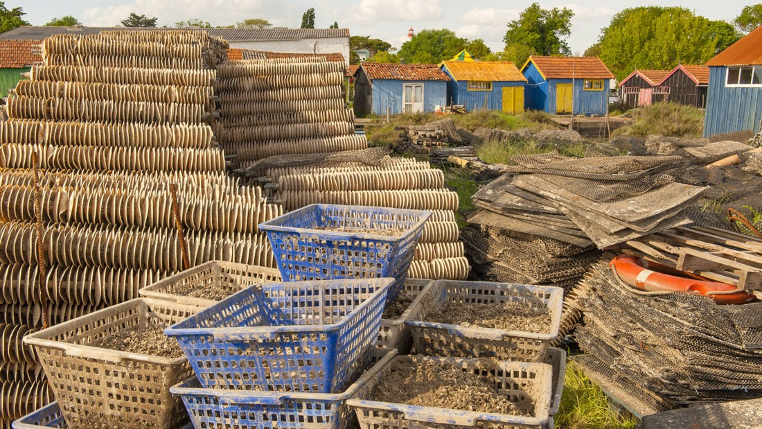 Körbe und Matten aus Metallgeflecht verraten: Hier arbeiten Austernfischer. Foto: Hilke Maunder