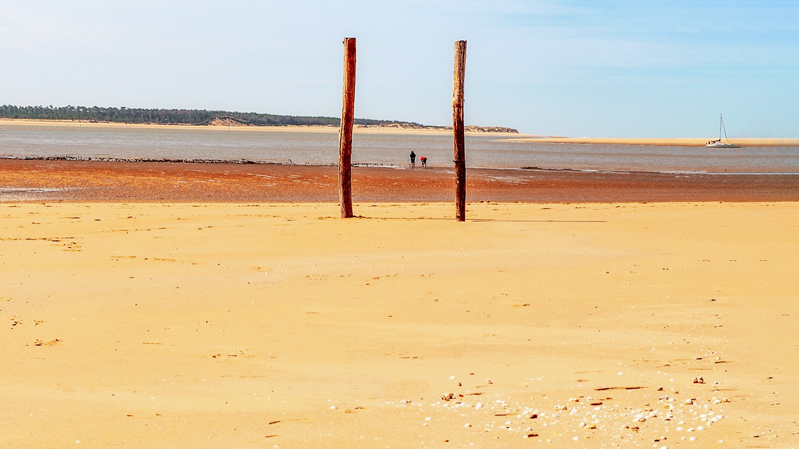 Die Plage de Gatseau ist der berühmteste Strand der Île d'Oléron. Foto: Hilke Maunder