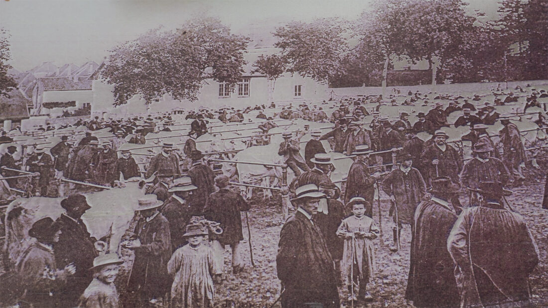 Der Viehmarkt von Saint-Christophe-en-Brionnais vor rund 100 Jahren. Foto: Hilke Maunder